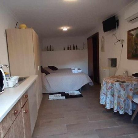 Casa Das Matriarcas - Casa Da Avo Benvinda Belmonte  Bagian luar foto